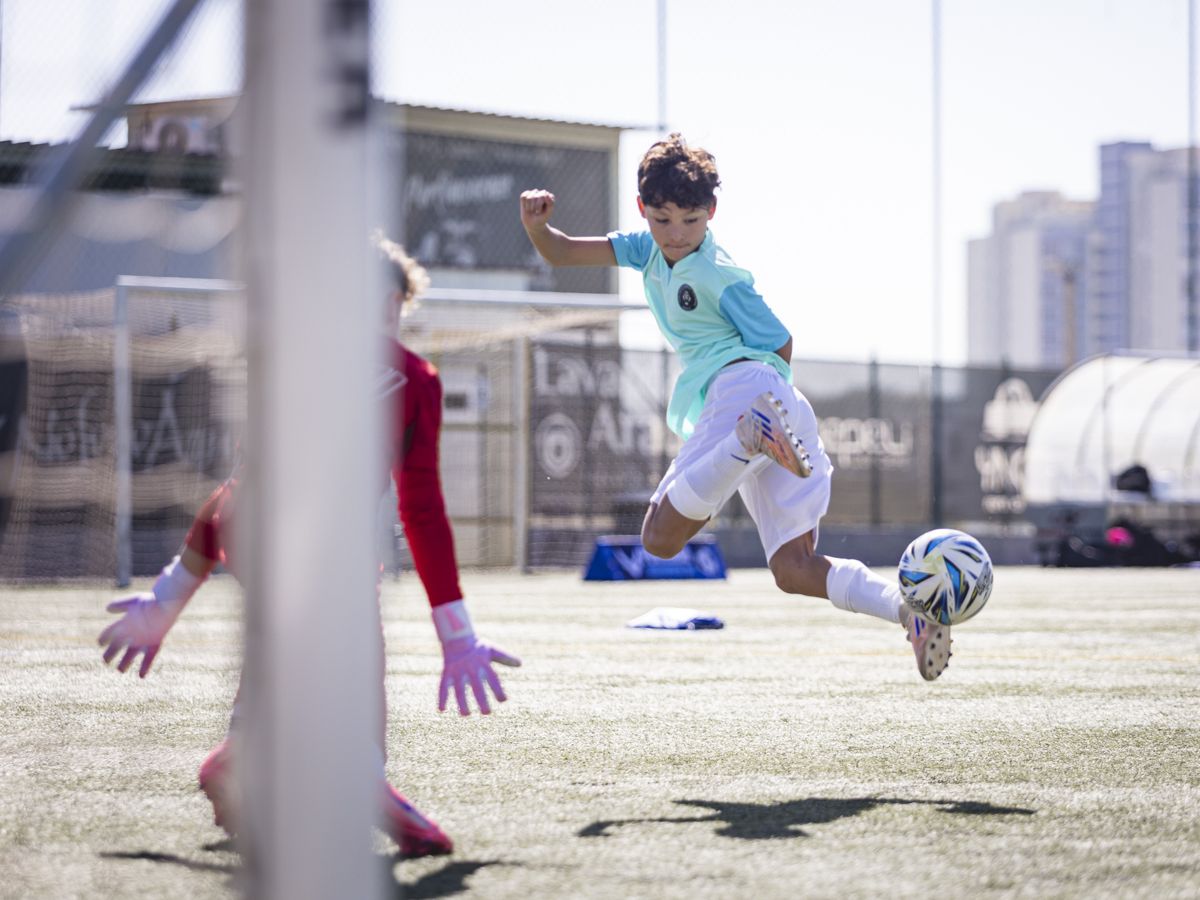 Development Training