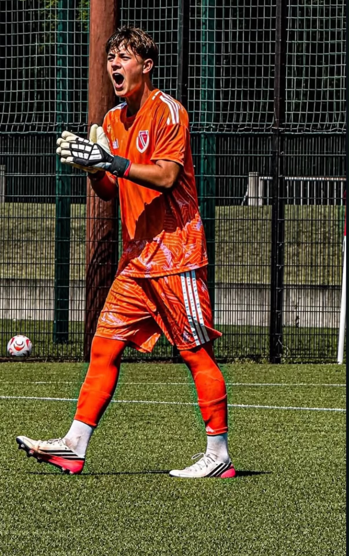 Paul Bode